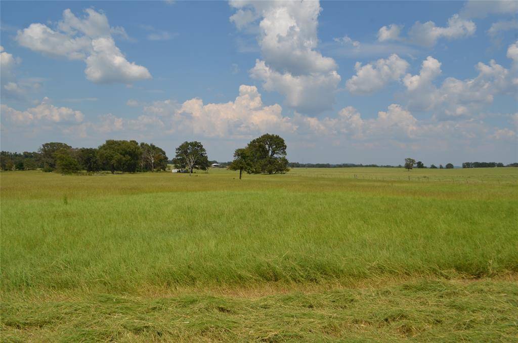 Larue, TX 75770,TBD FM 607 S