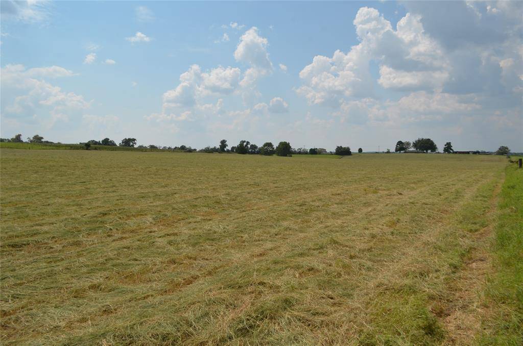 Larue, TX 75770,TBD FM 607 S