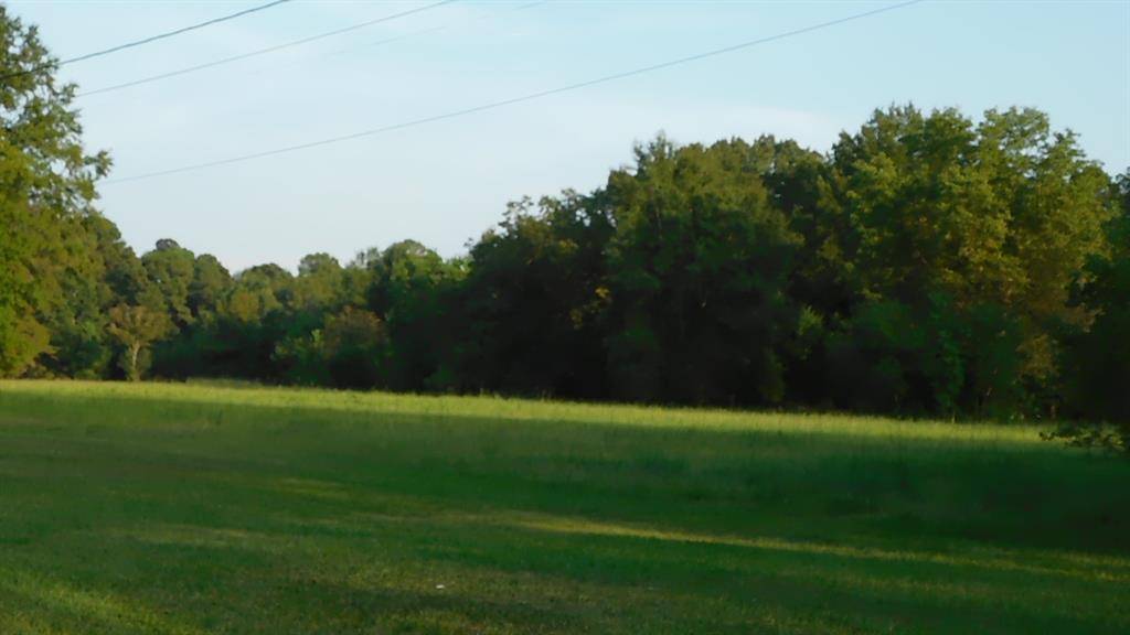 Springhill, LA 71075,0 Spring Branch Road