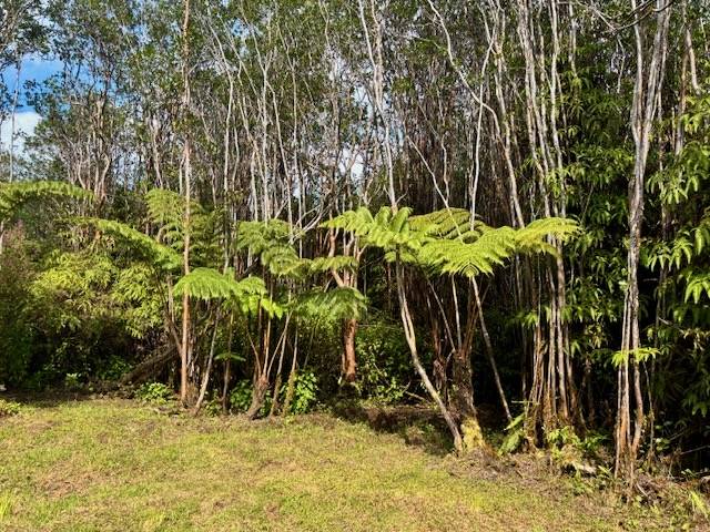 Volcano, HI 96785,18-4063 KANAHELE PL
