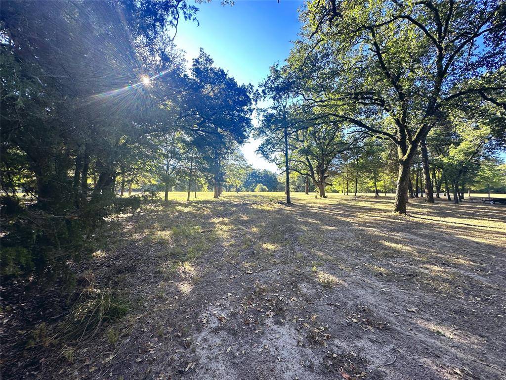 Lot 65 Sombrilla Lane, Kerens, TX 75144