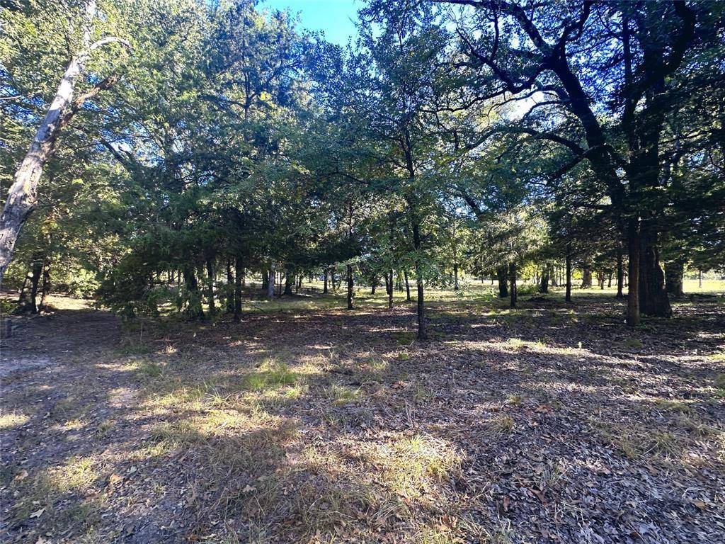 Lot 65 Sombrilla Lane, Kerens, TX 75144