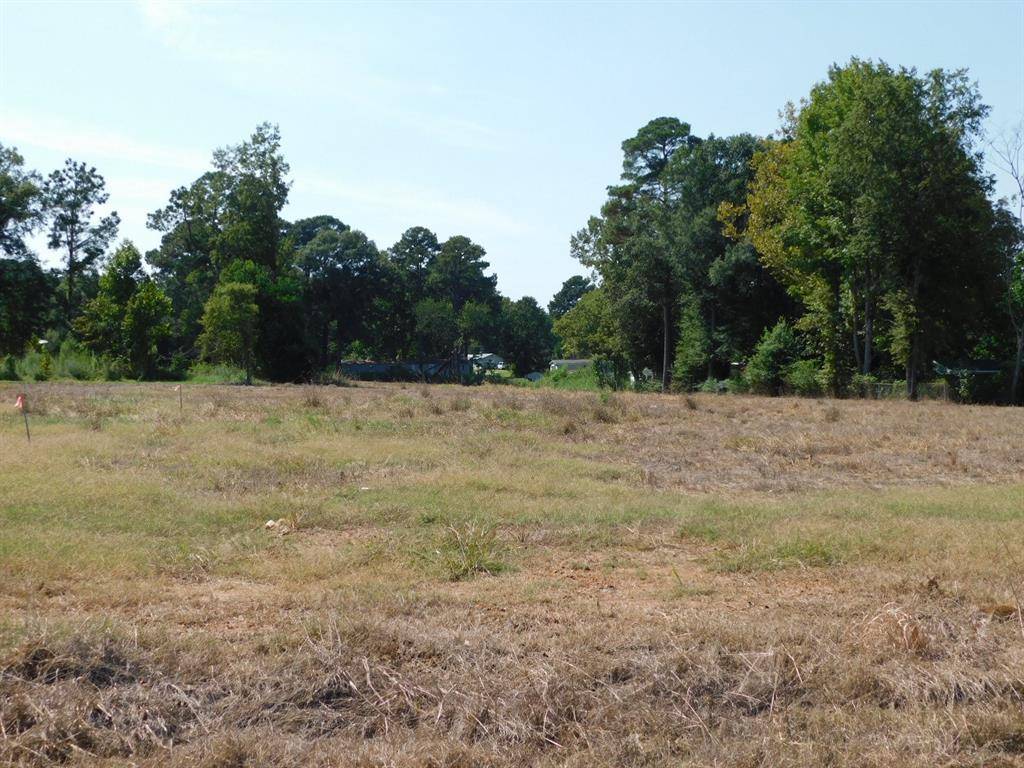 Springhill, LA 71075,0 SW 1st Street