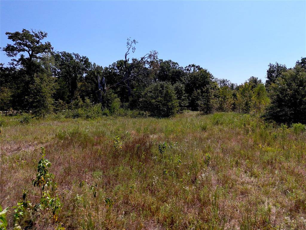 Talco, TX 75487,7000 CR 1060