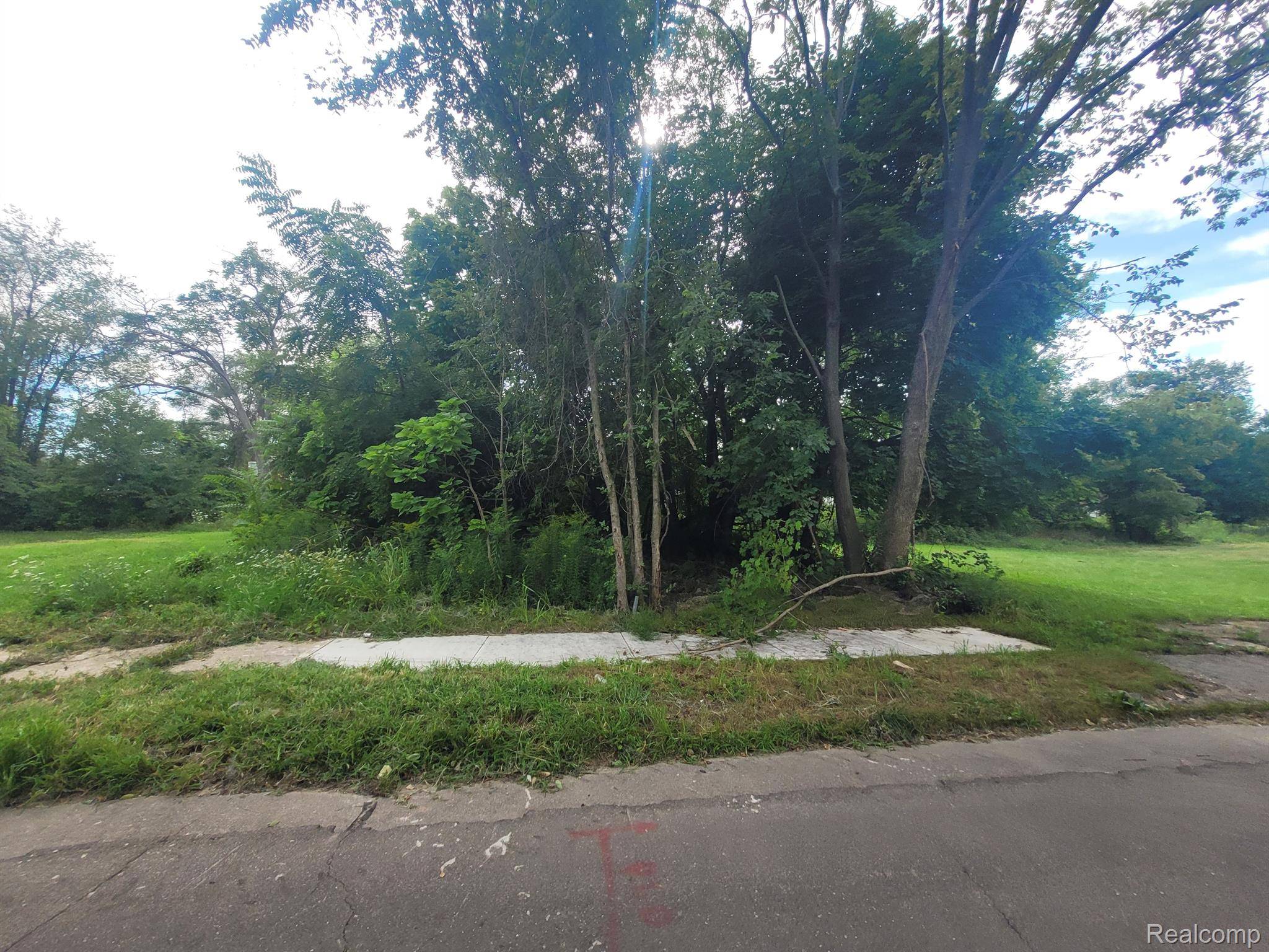 Detroit, MI 48214,3443 BEALS ST