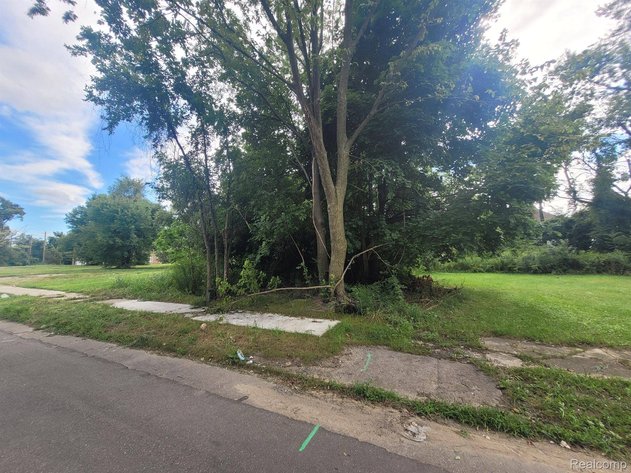 Detroit, MI 48214,3443 BEALS ST