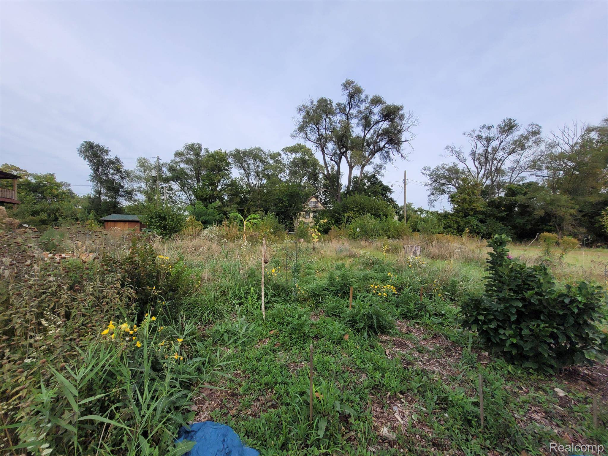 Detroit, MI 48214,3028 BALDWIN ST