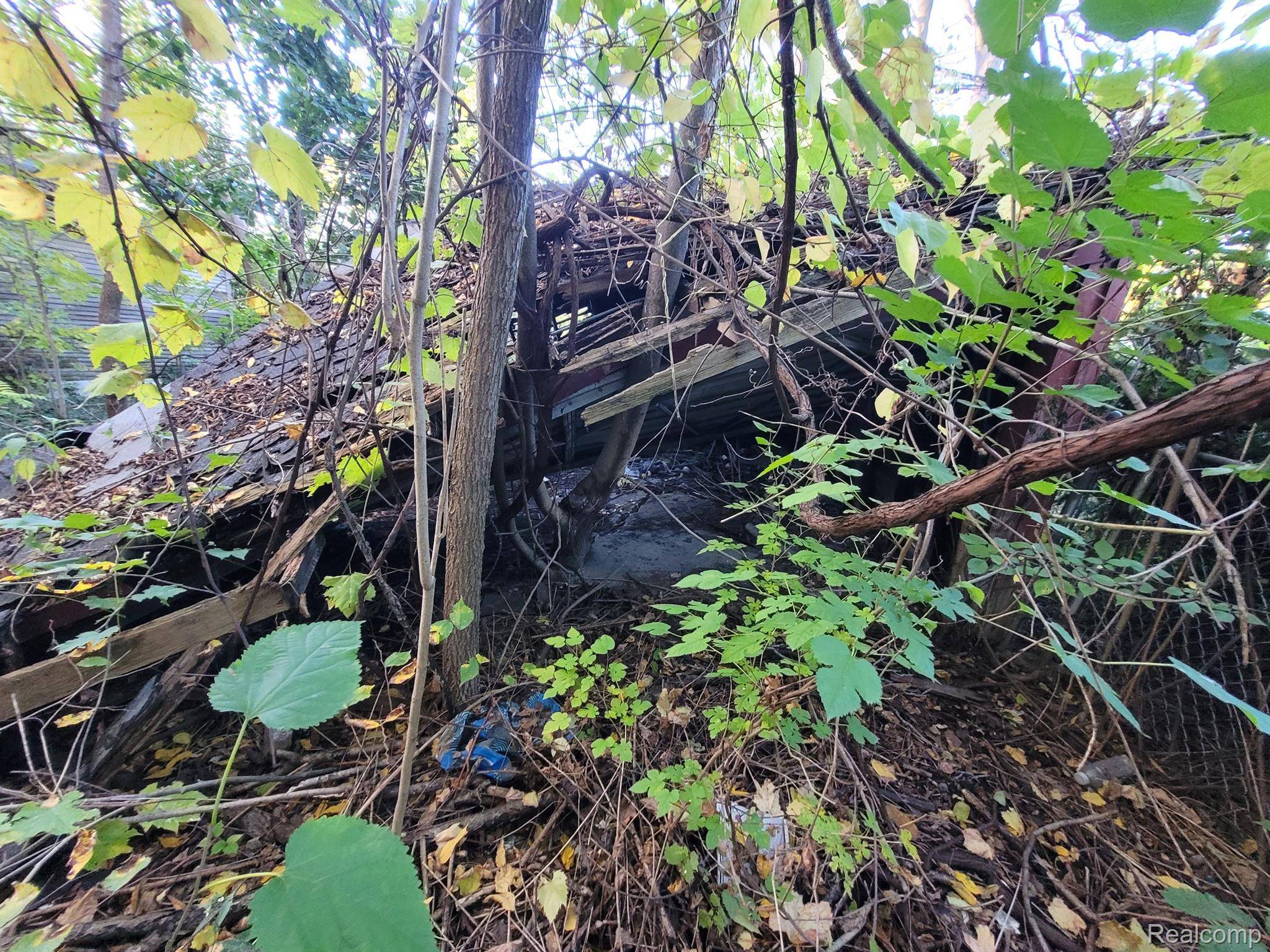 Detroit, MI 48204,4824 CORTLAND ST