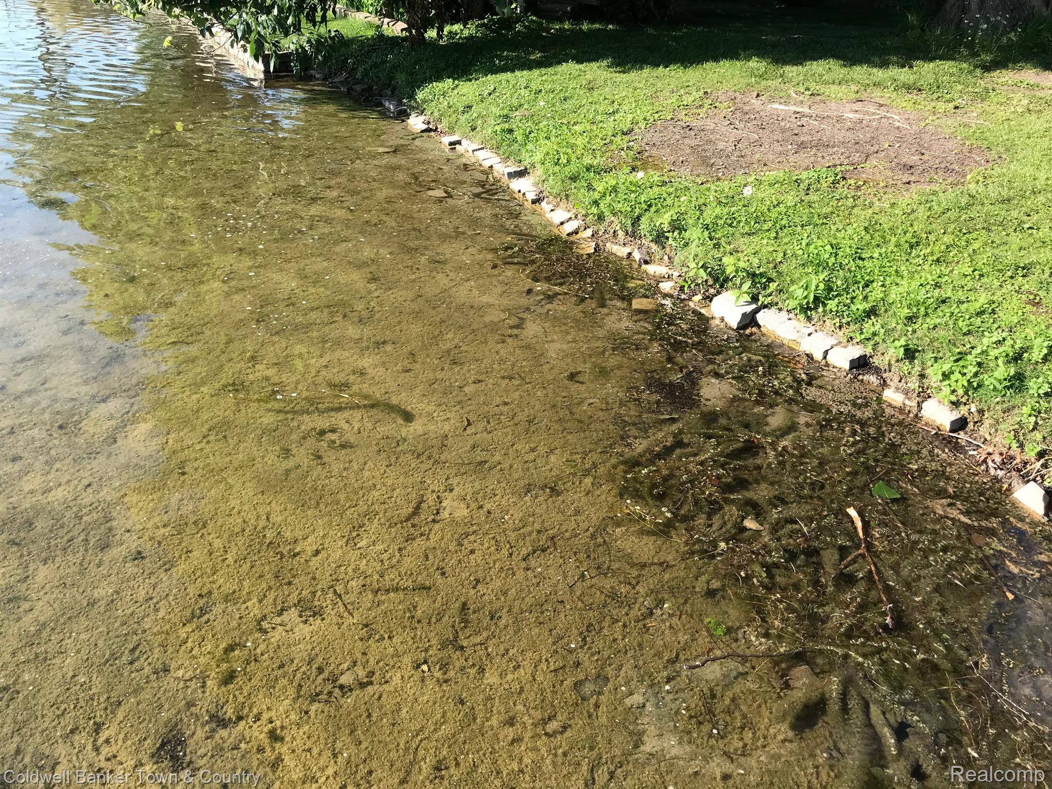 Pinckney, MI 48169,10300 KRESS RD