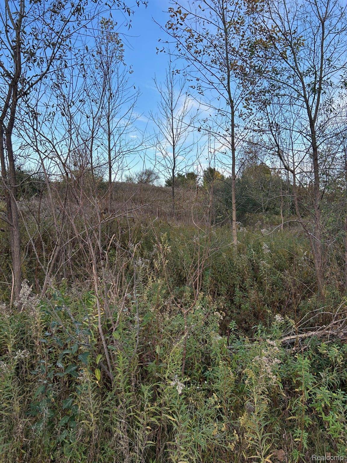 Howell, MI 48843,000 HICKORY NUT HOLLOW