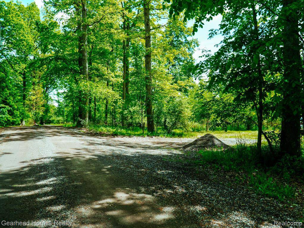 Brighton, MI 48114,C-1 DOA LN