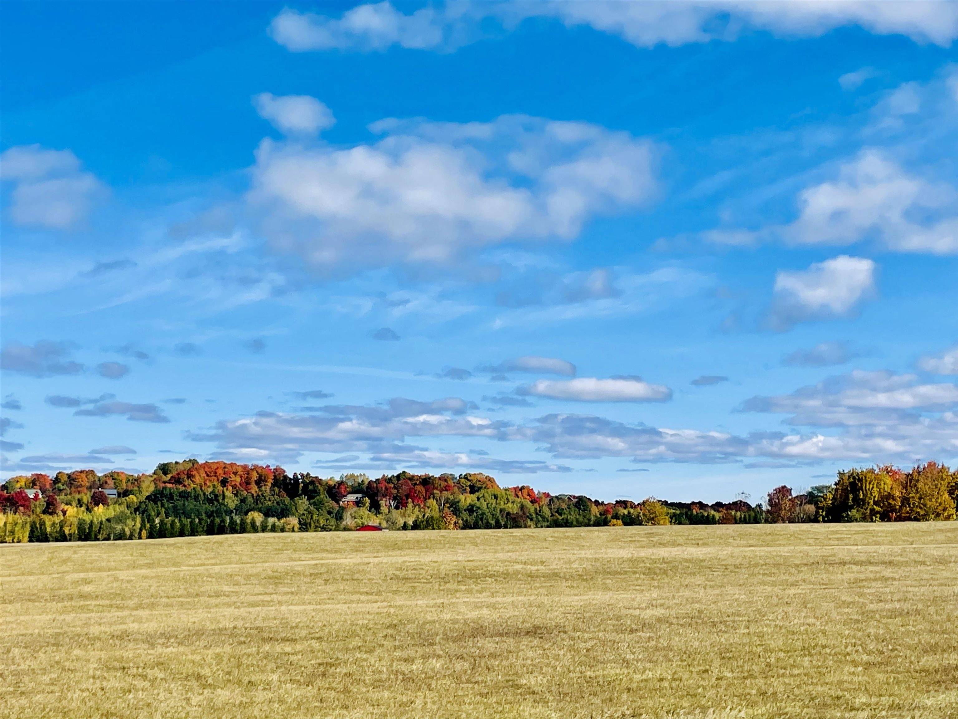 Kewadin, MI 49648,0000 Zawora RD