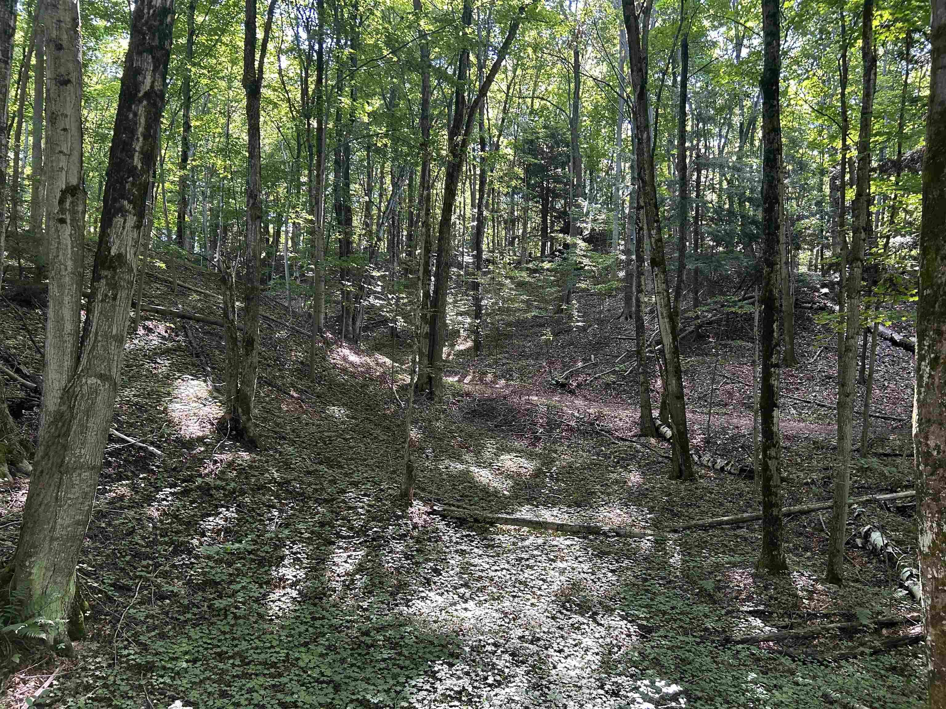 Eastport, MI 49627,Lots 150 to 157 Neoma TRL