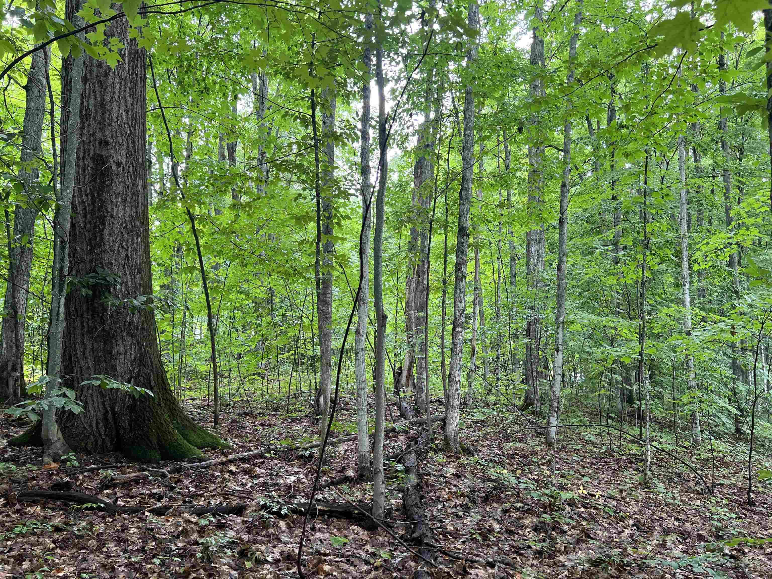 Kalkaska, MI 49646,4656 E Circle DR