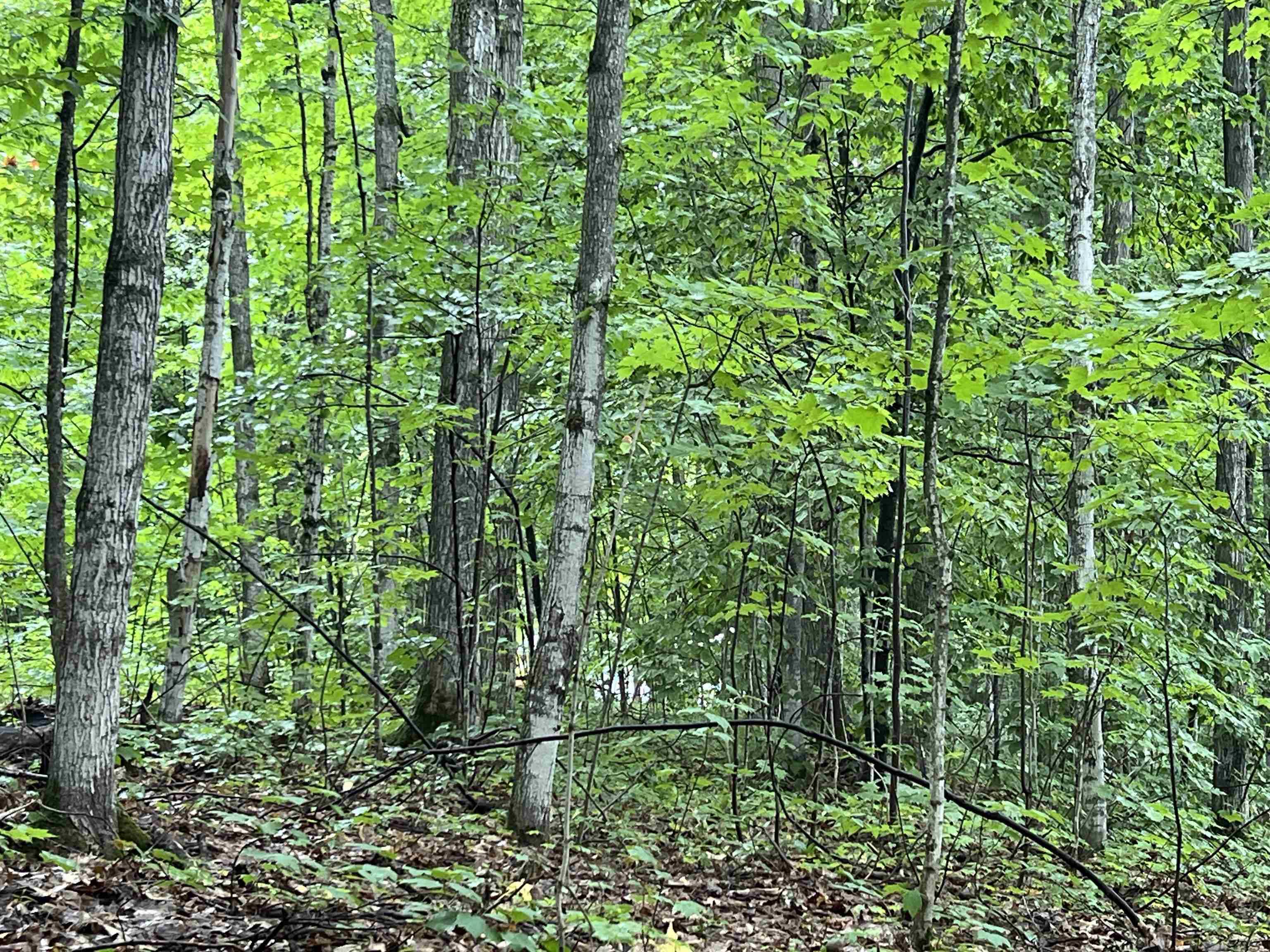 Kalkaska, MI 49646,4656 E Circle DR