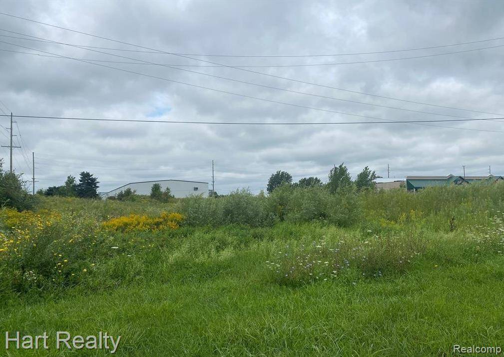 Marlette, MI 48453,00 S Main ST