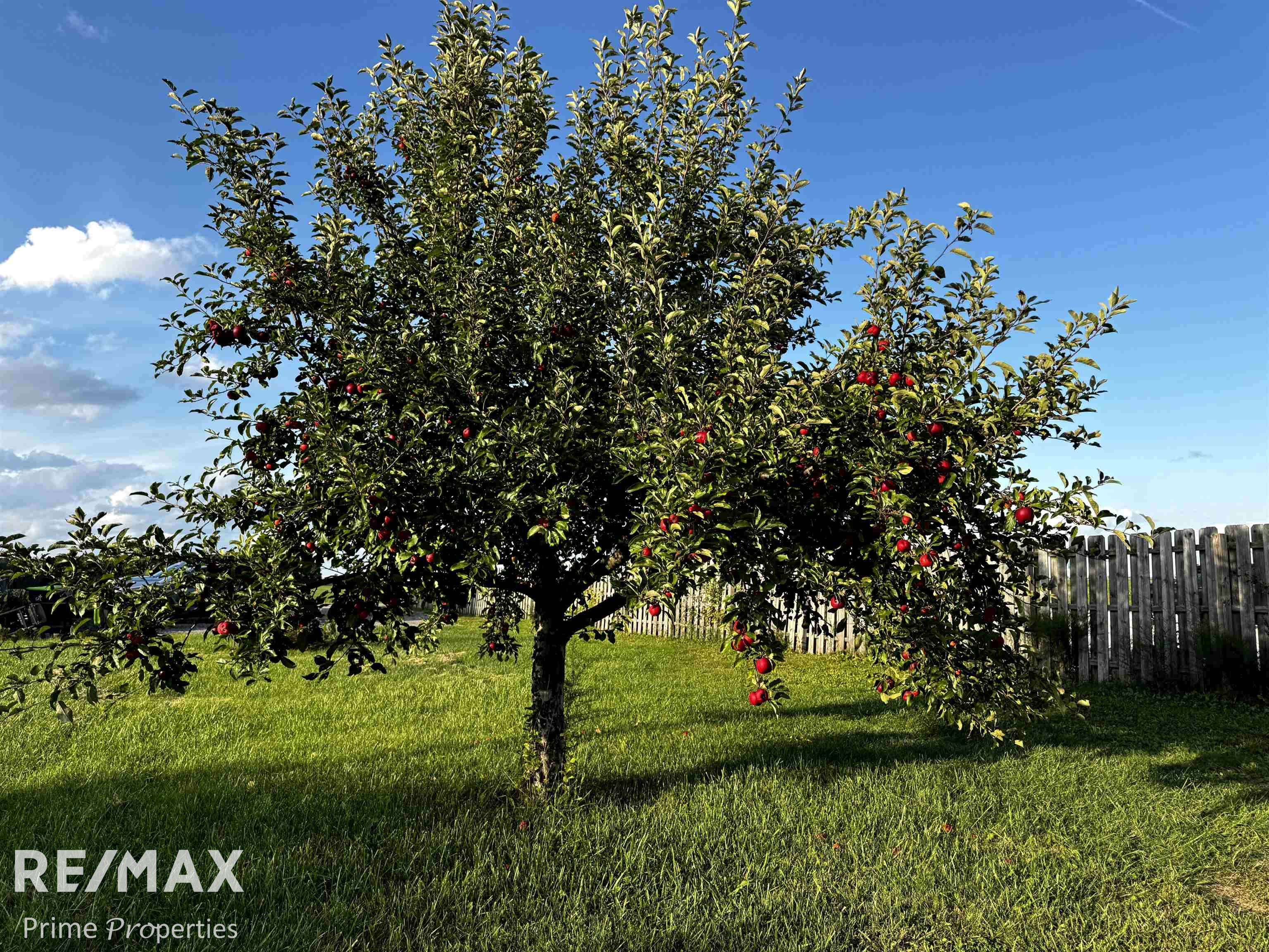 Reese, MI 48757,9433 W Caro RD