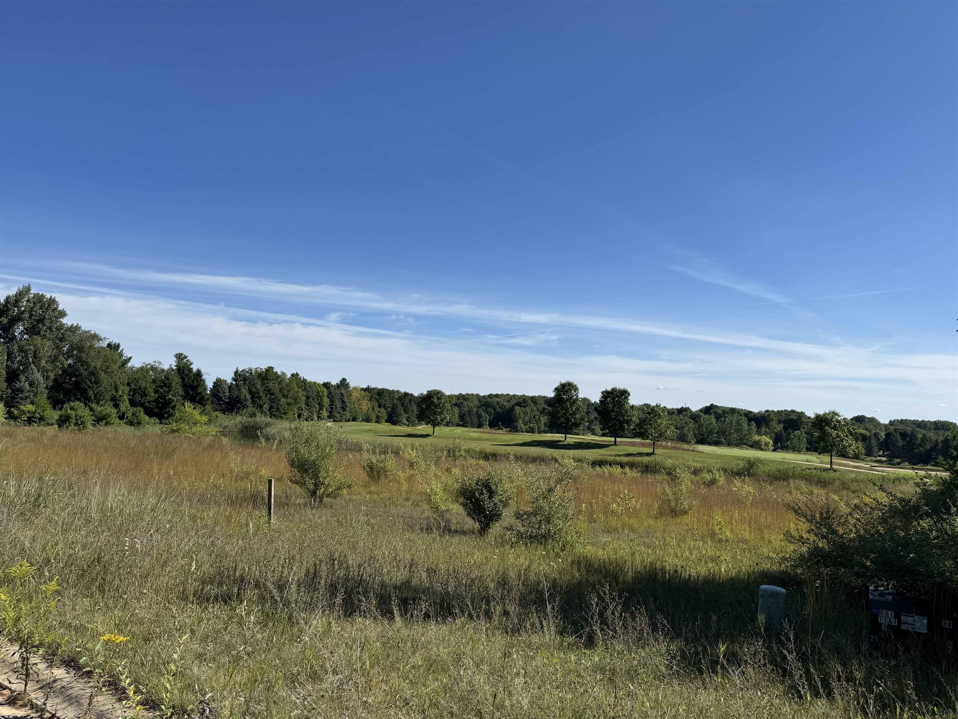 4867 Prestwick CT, Acme Twp, MI 49690