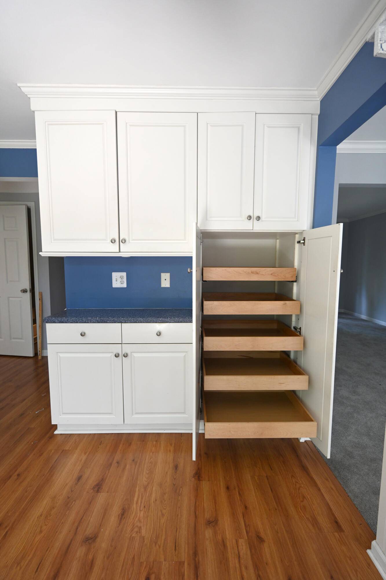 Novi, MI 48375,24738 Christina LN