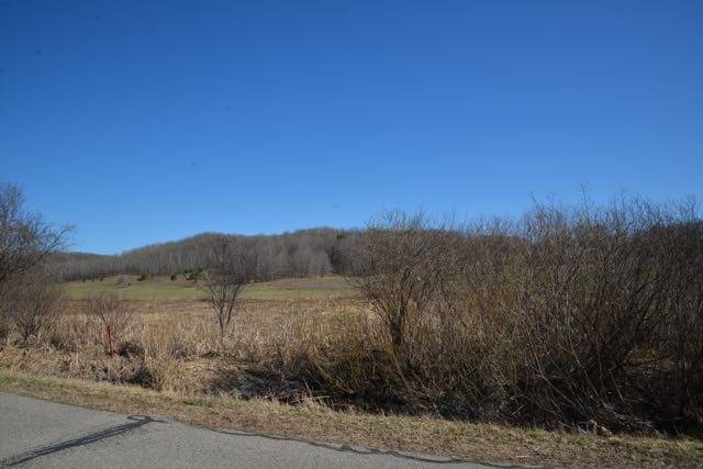 East Jordan, MI 49727,0 Wilson RD