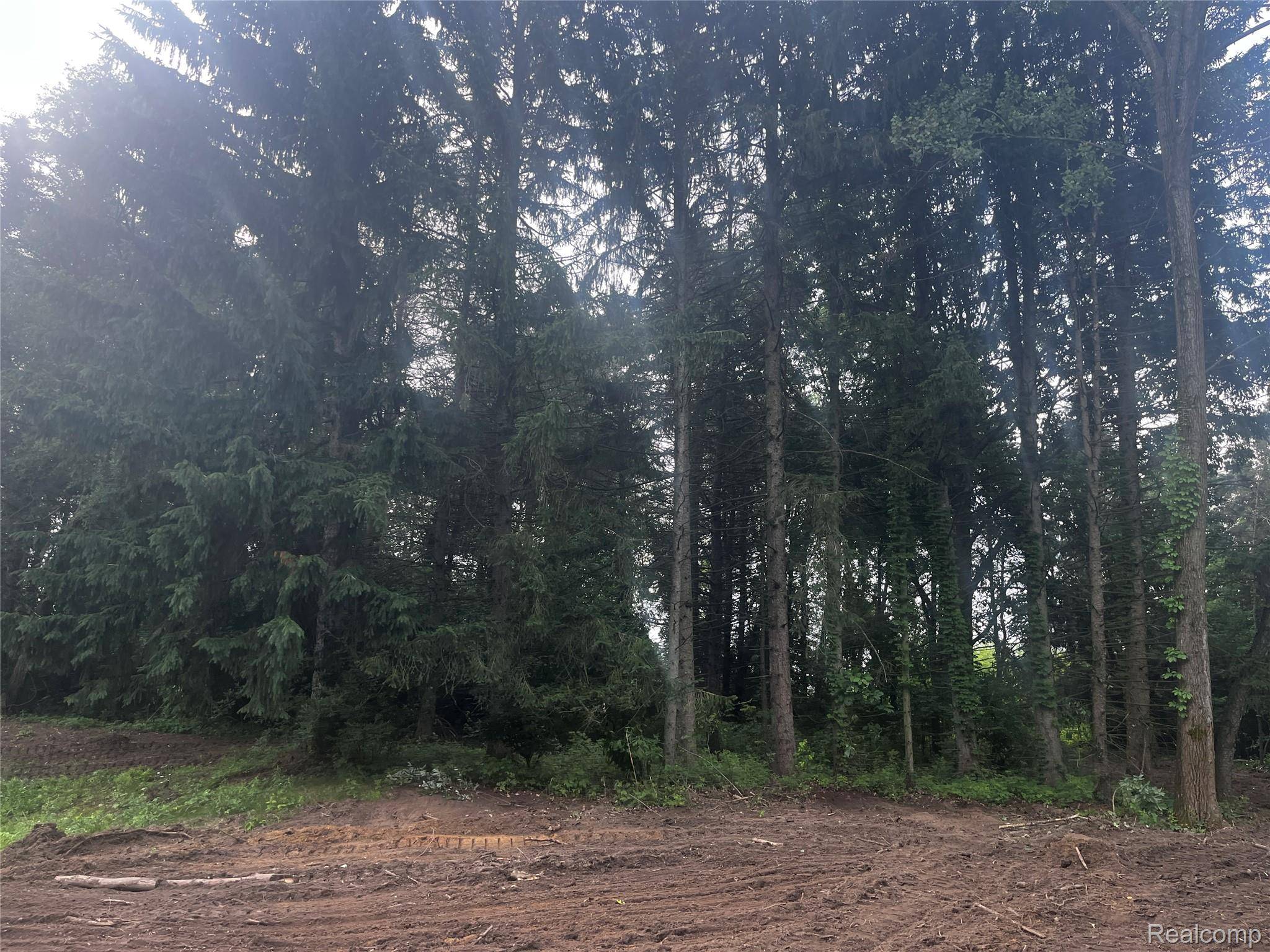 Lapeer, MI 48446,1466 Debi Ann DR