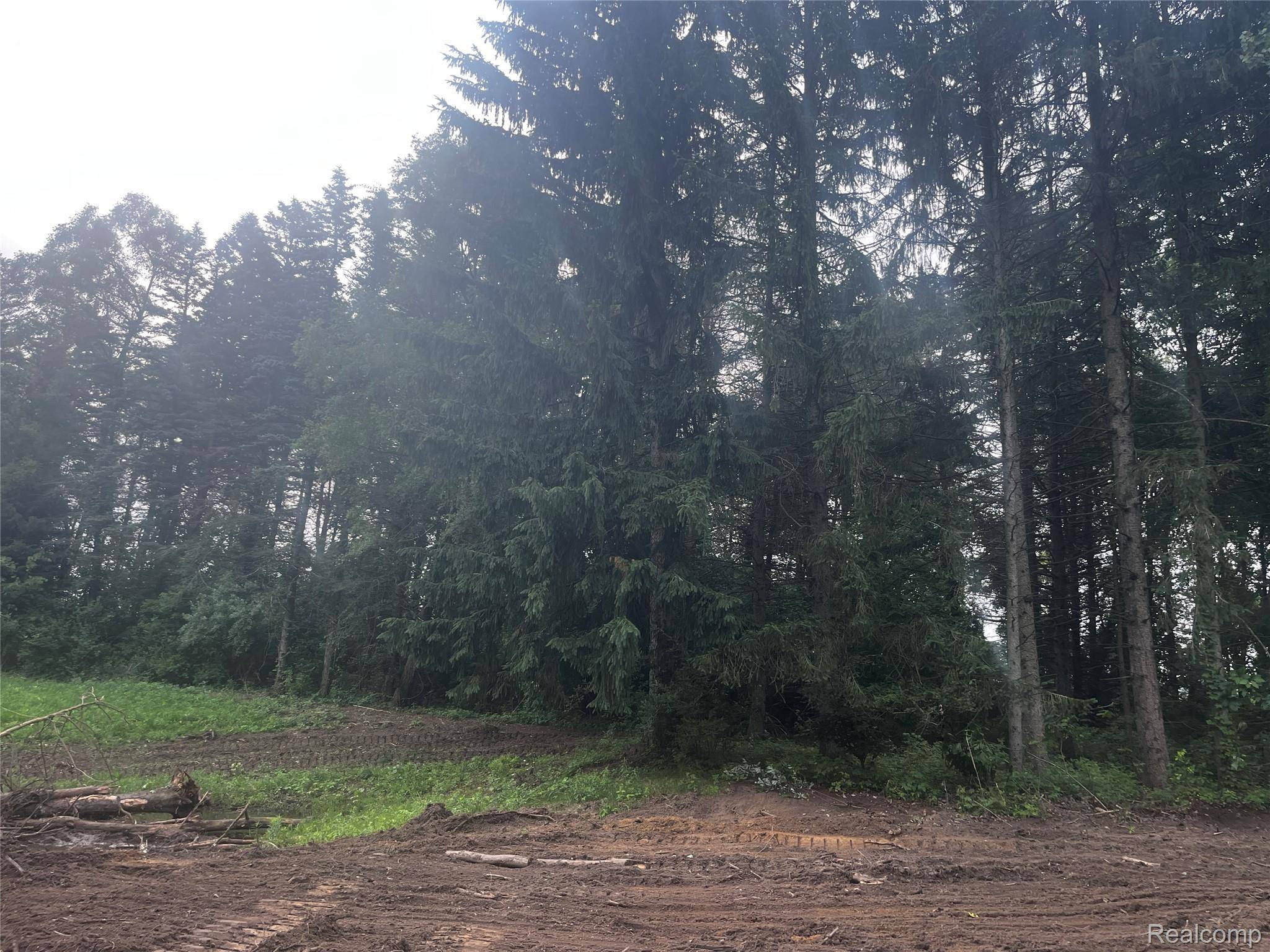 Lapeer, MI 48446,1466 Debi Ann DR