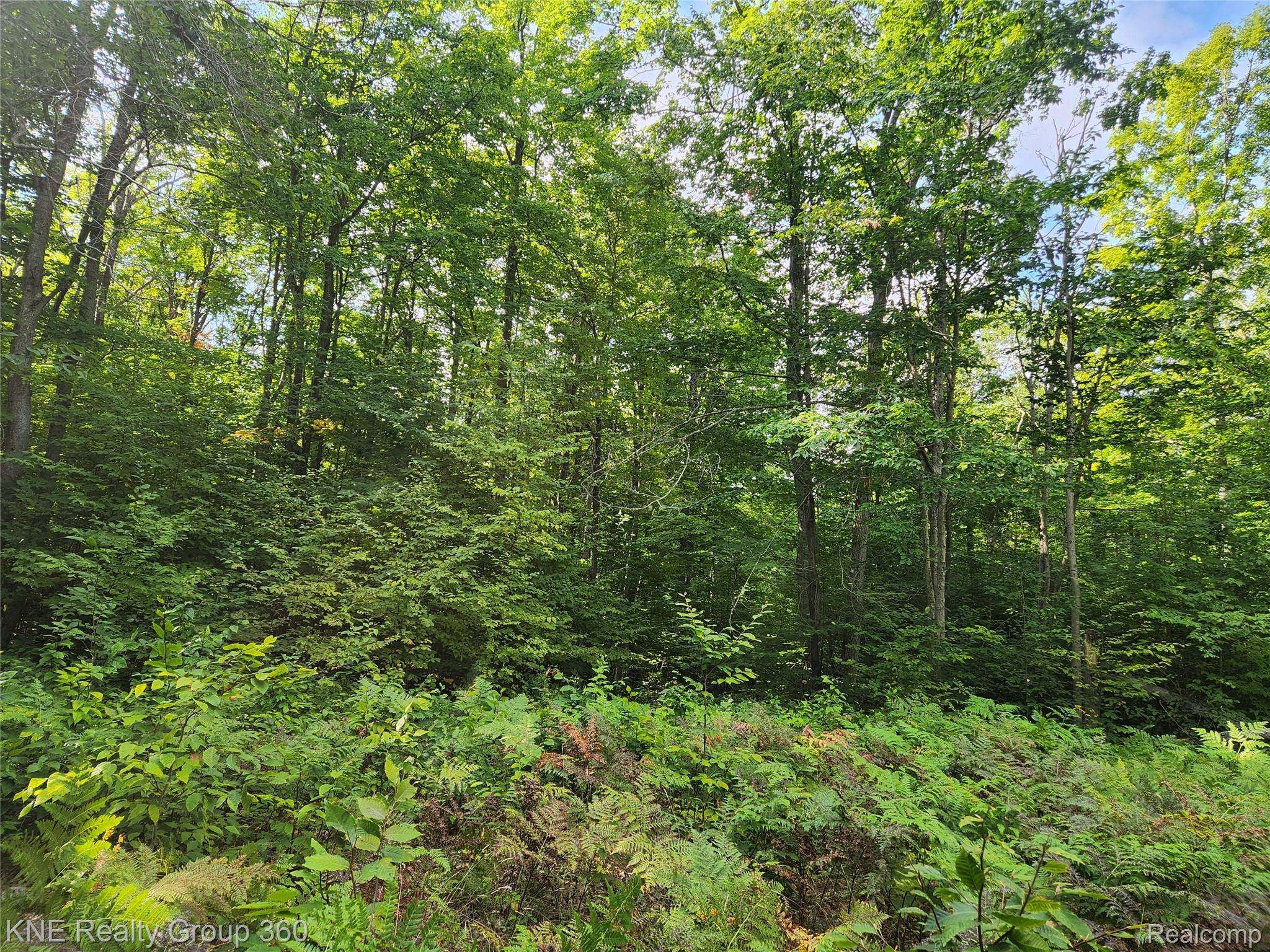 Frederic, MI 49733,0 44.852916/-84.742739