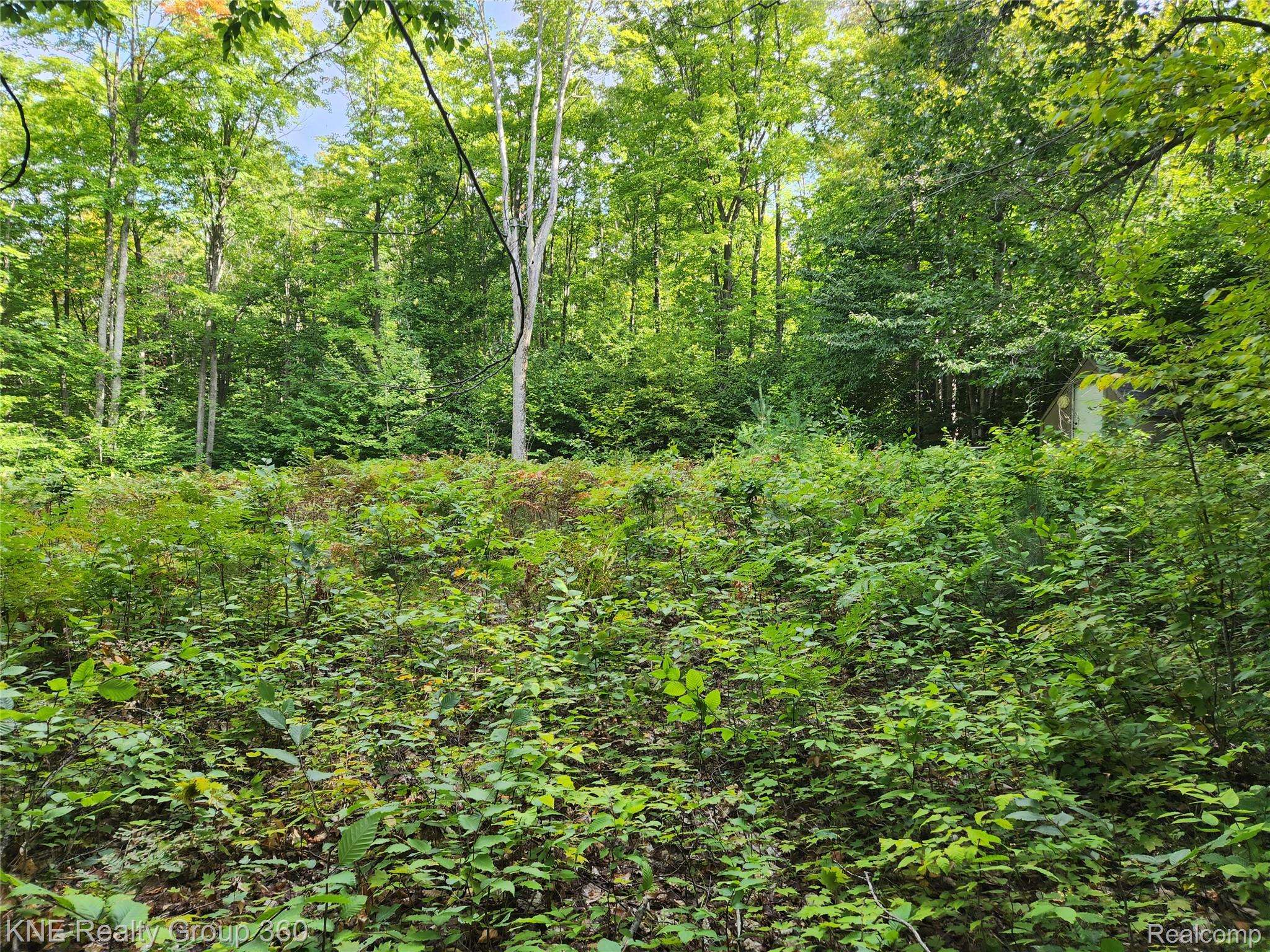 Frederic, MI 49733,0 44.852916/-84.742739