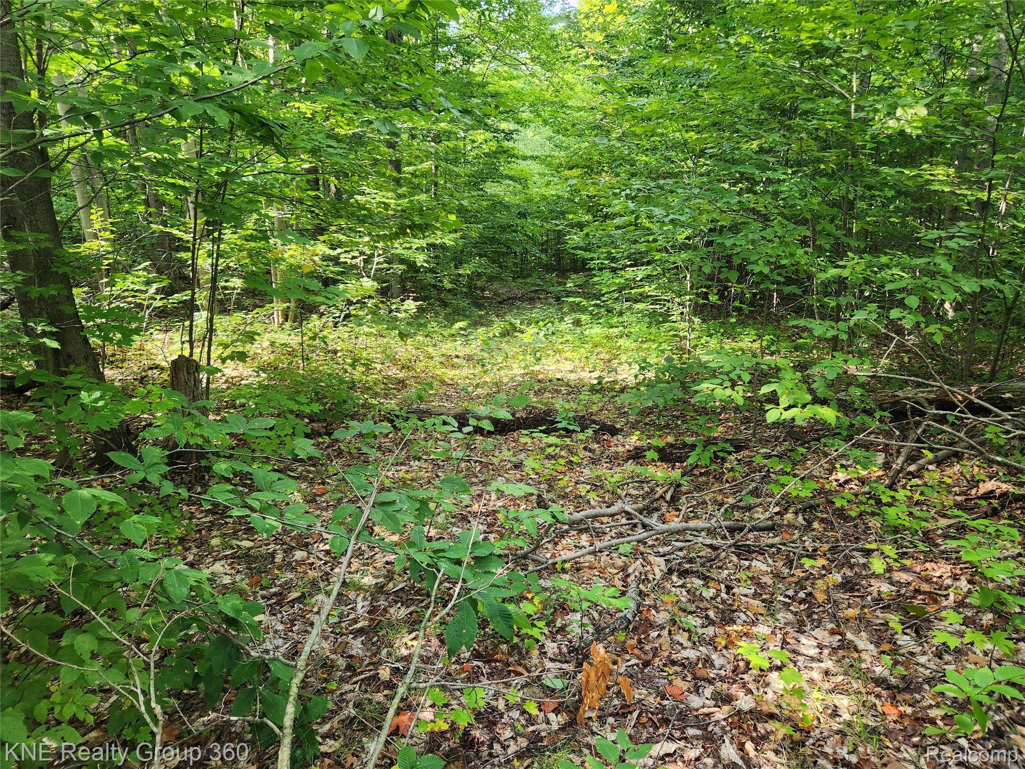 Frederic, MI 49733,0 44.852916/-84.742739