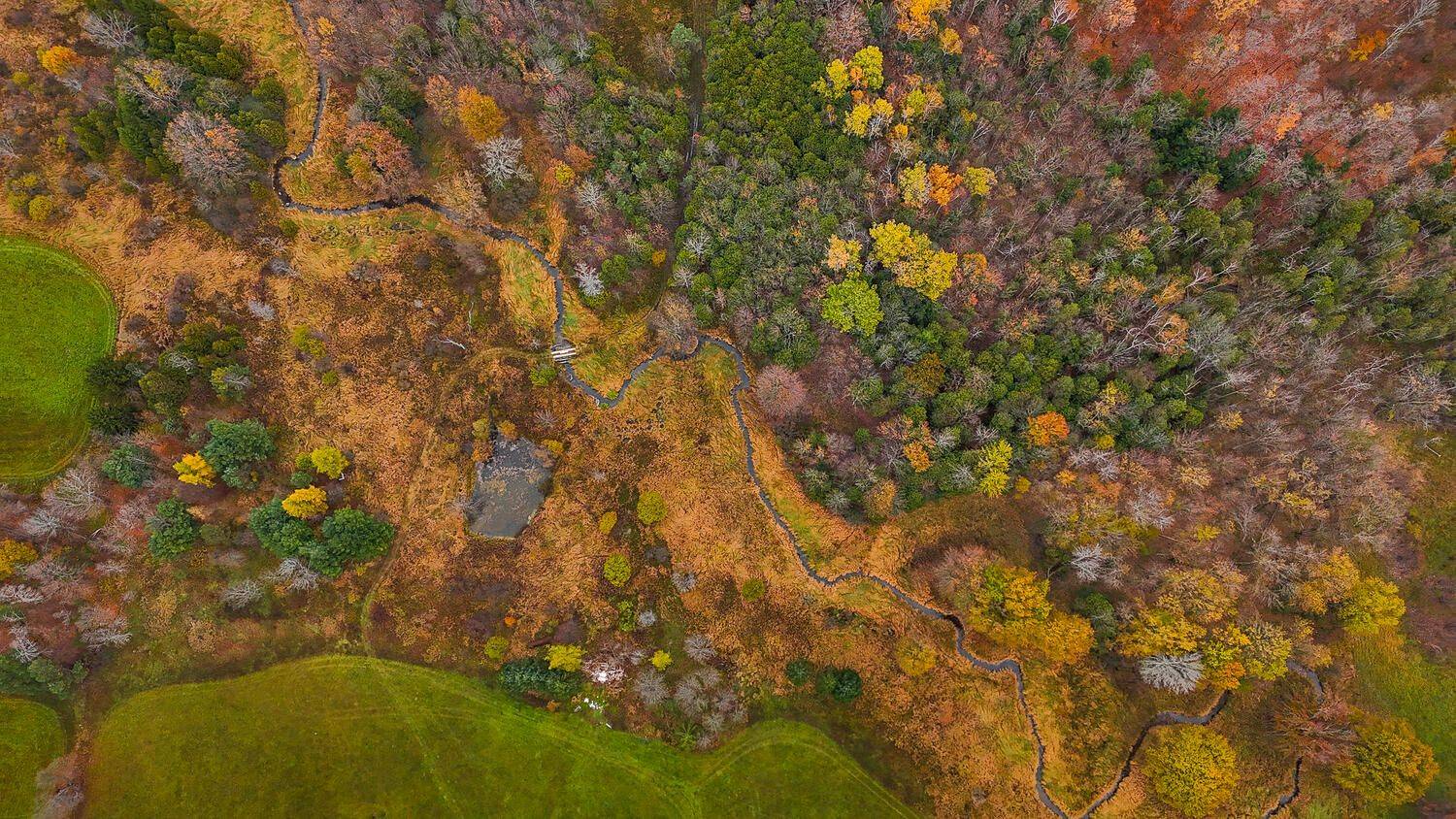 Georgian Bluffs, ON N4K 5N5,177839 Grey Rd 18 RD