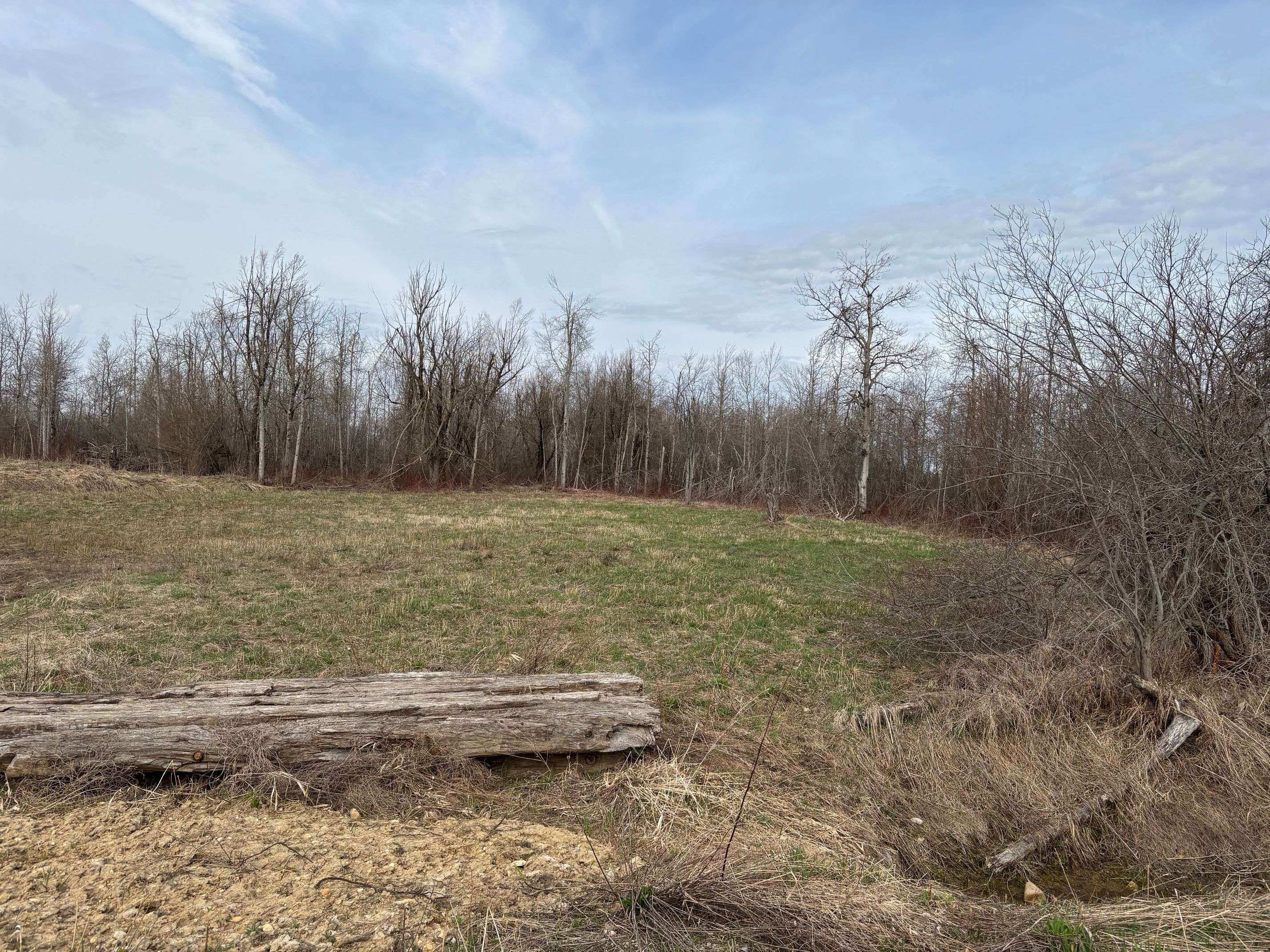 Melancthon, ON L9V 1P8,Conc 2 5th Line