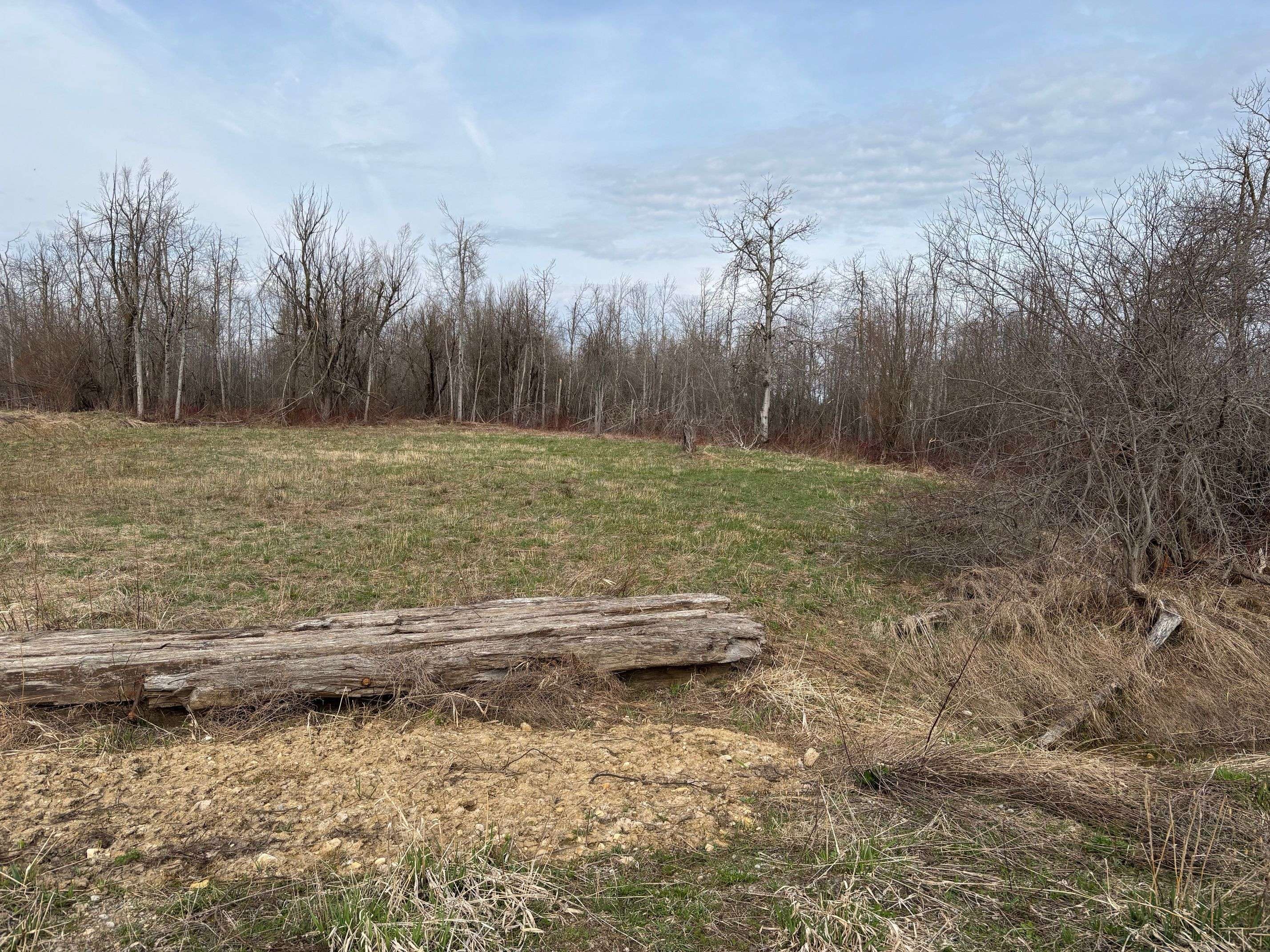 Melancthon, ON L9V 1P8,Conc 2 5th Line