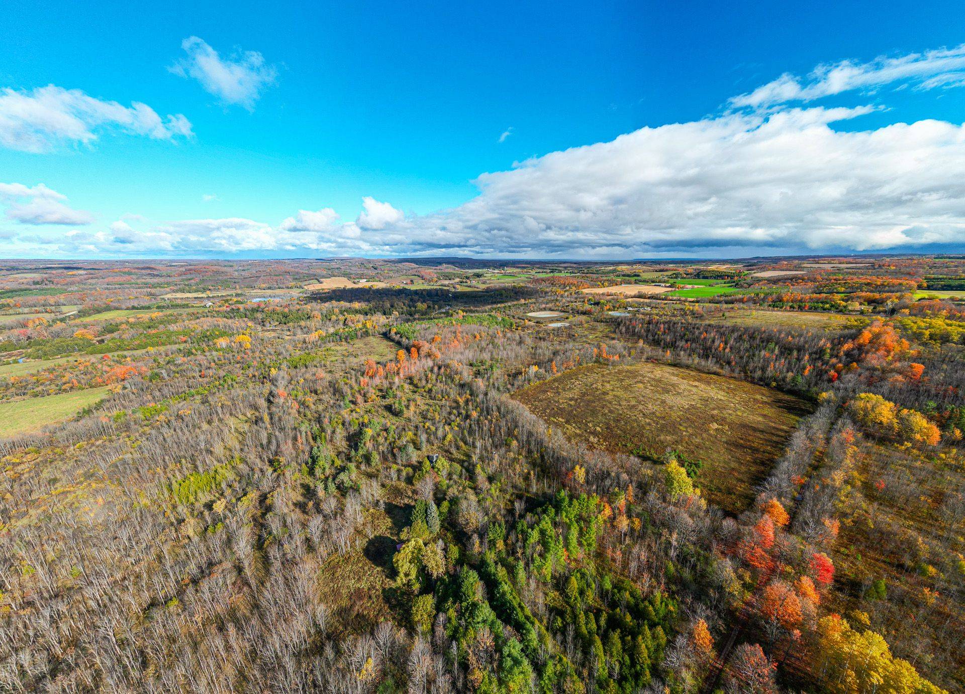 Meaford, ON N4L 1W5,LT 7-8 12th Line