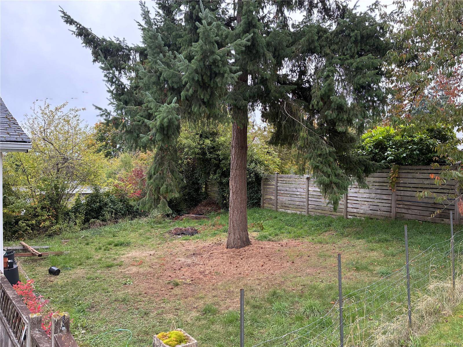 Nanaimo, BC V9S 1Z4,343 Hemlock St