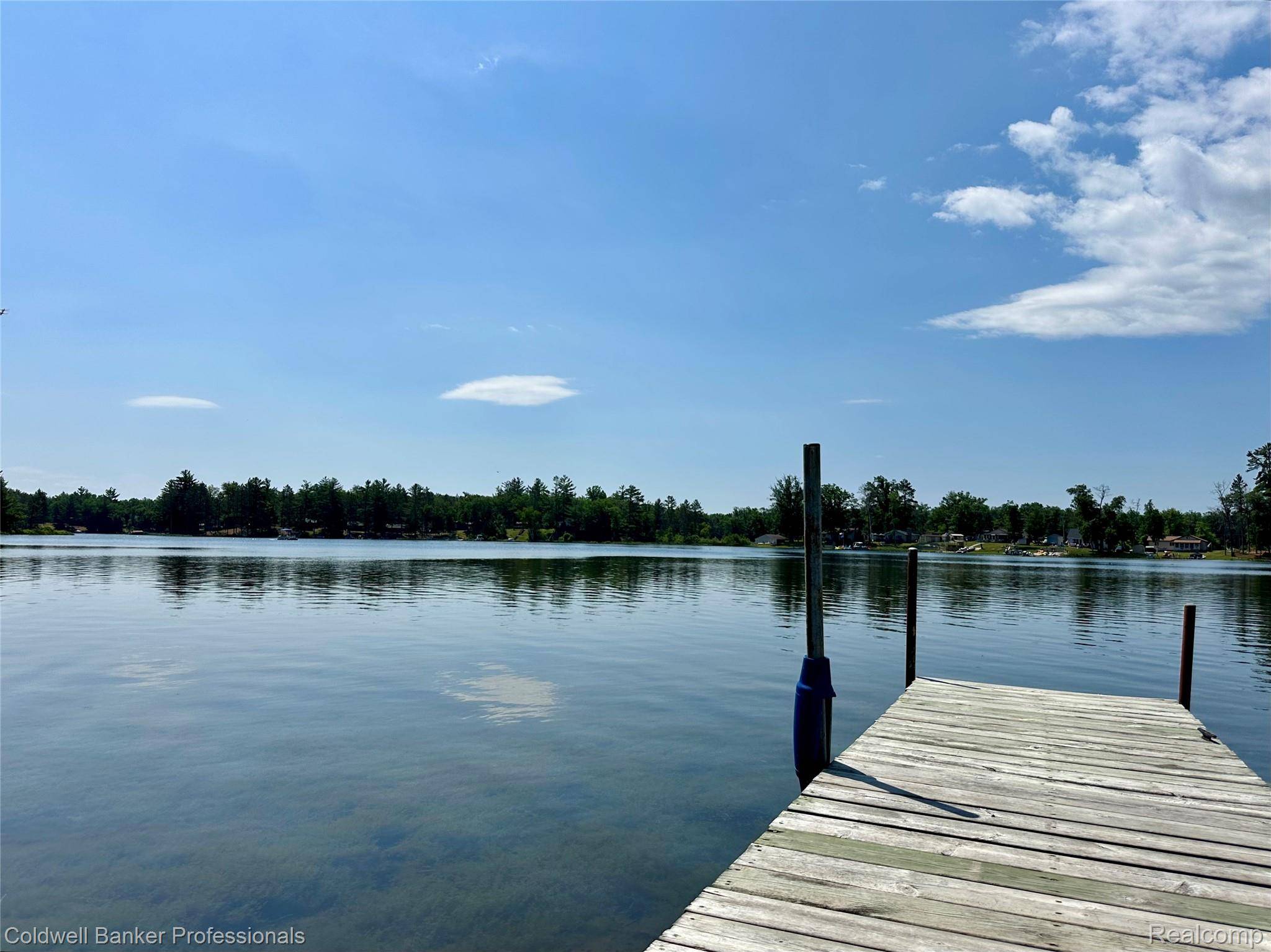 South Branch, MI 48761,7351 Chain Lake DR