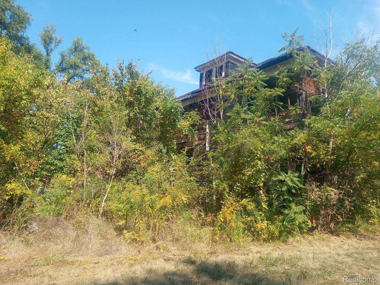 Detroit, MI 48204,9359 Broadstreet AVE