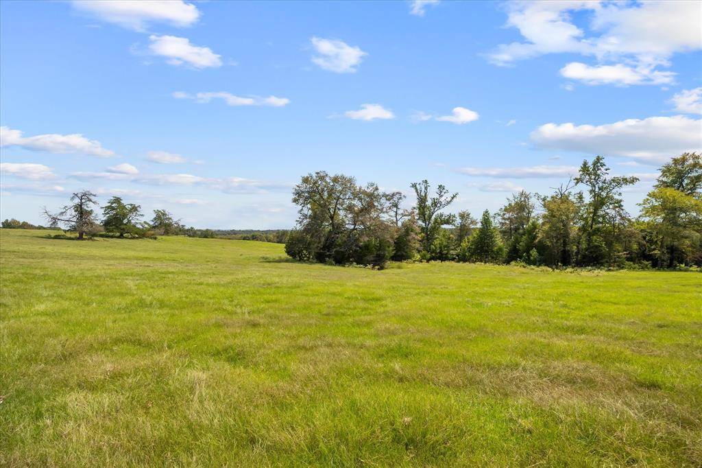 Brownsboro, TX 75756,11990 County Road 3513