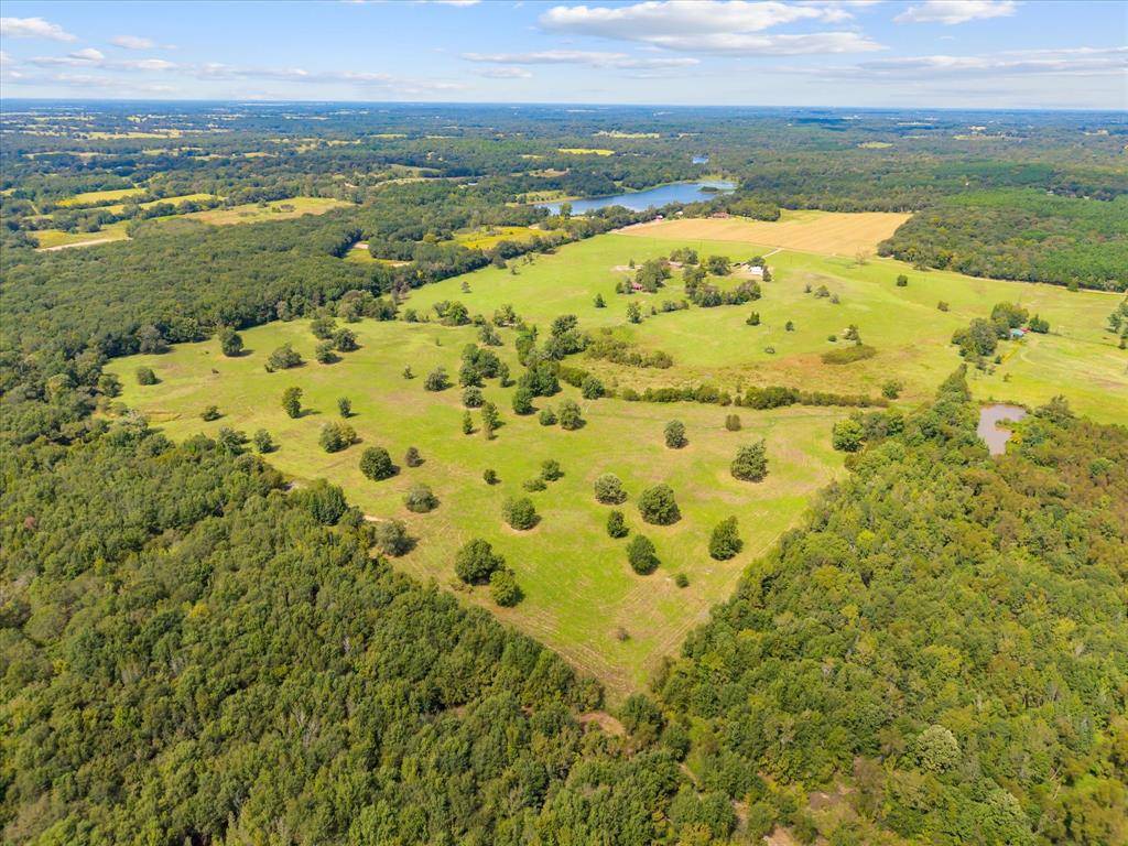 Brownsboro, TX 75756,11990 County Road 3513