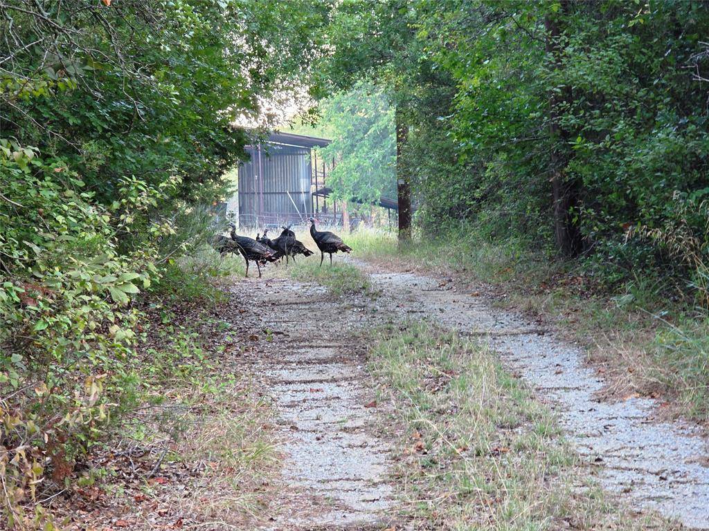 Eastland, TX 76448,1811 Highway 570