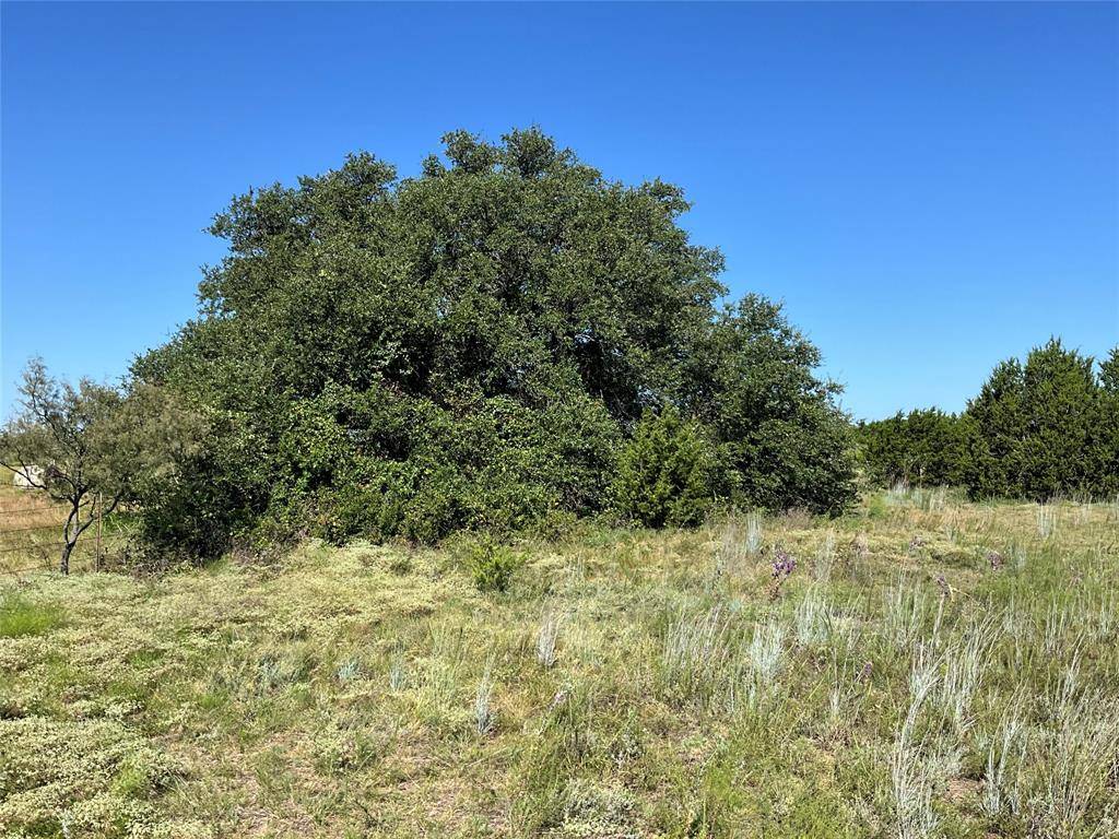 Pottsville, TX 76565,TBD Farm rd 221