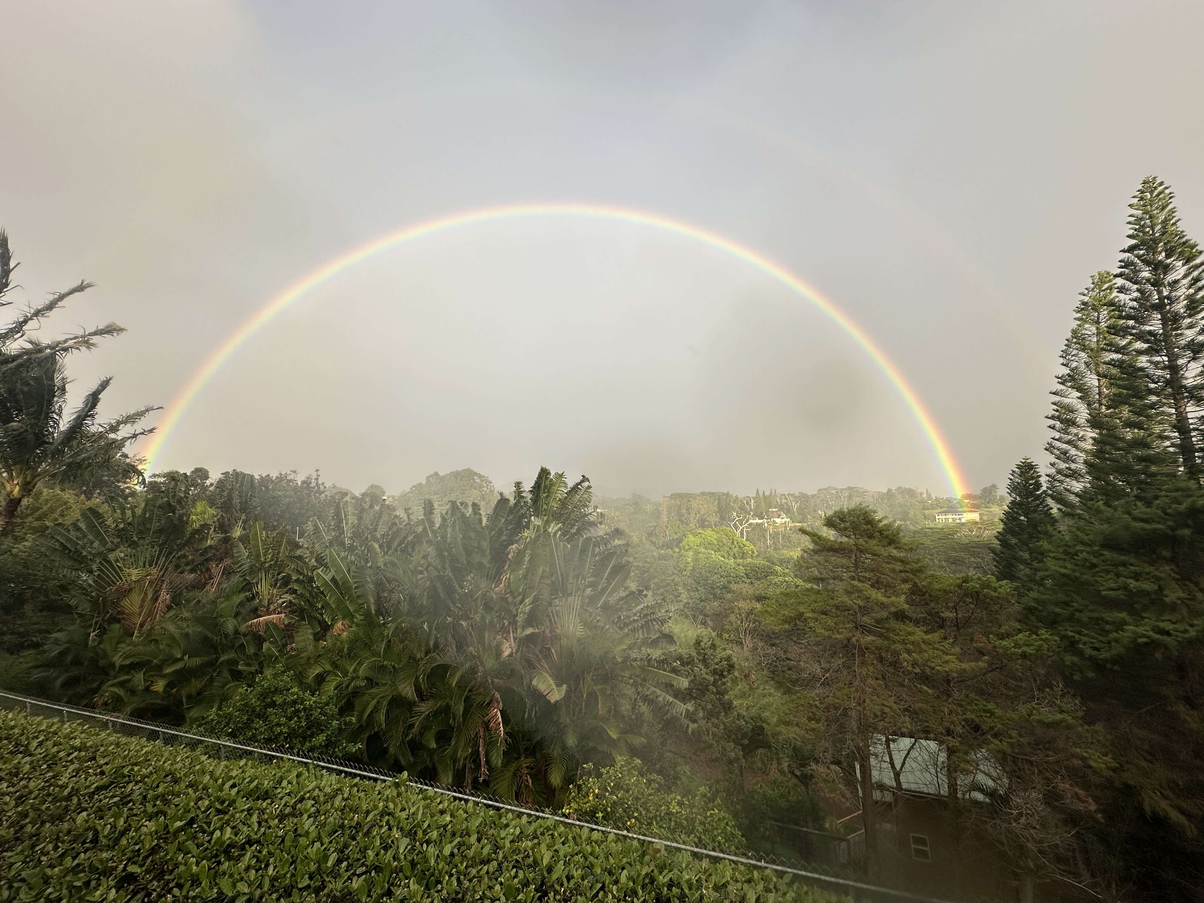 Kalaheo, HI 96741,4685 KULI RD