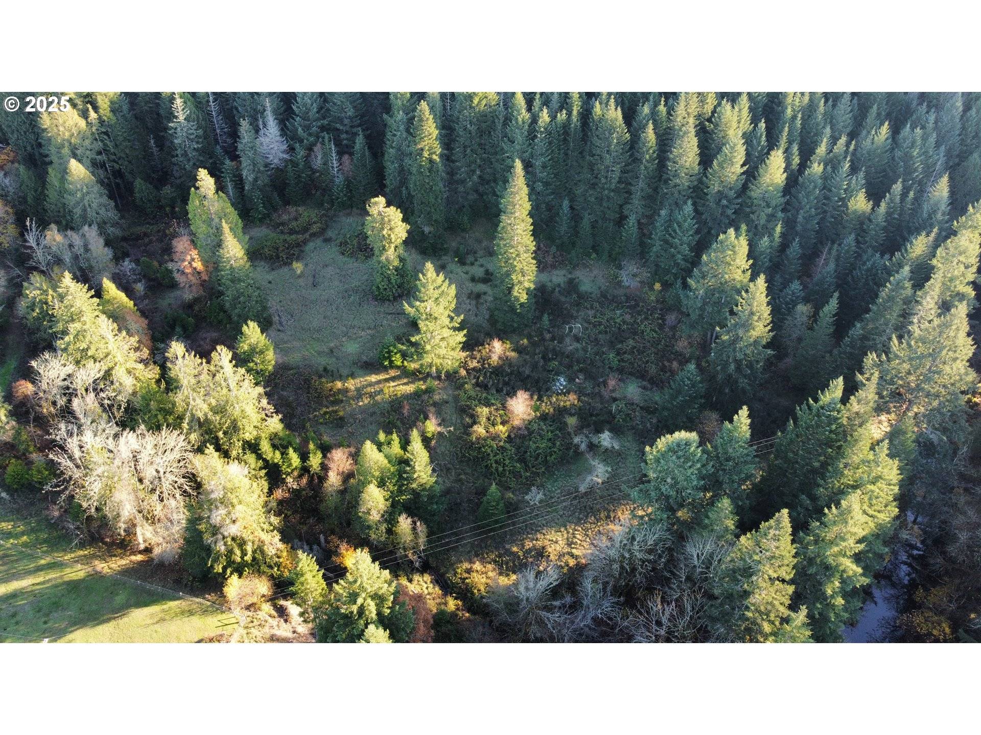 HARD CASH LN, Camas Valley, OR 97416