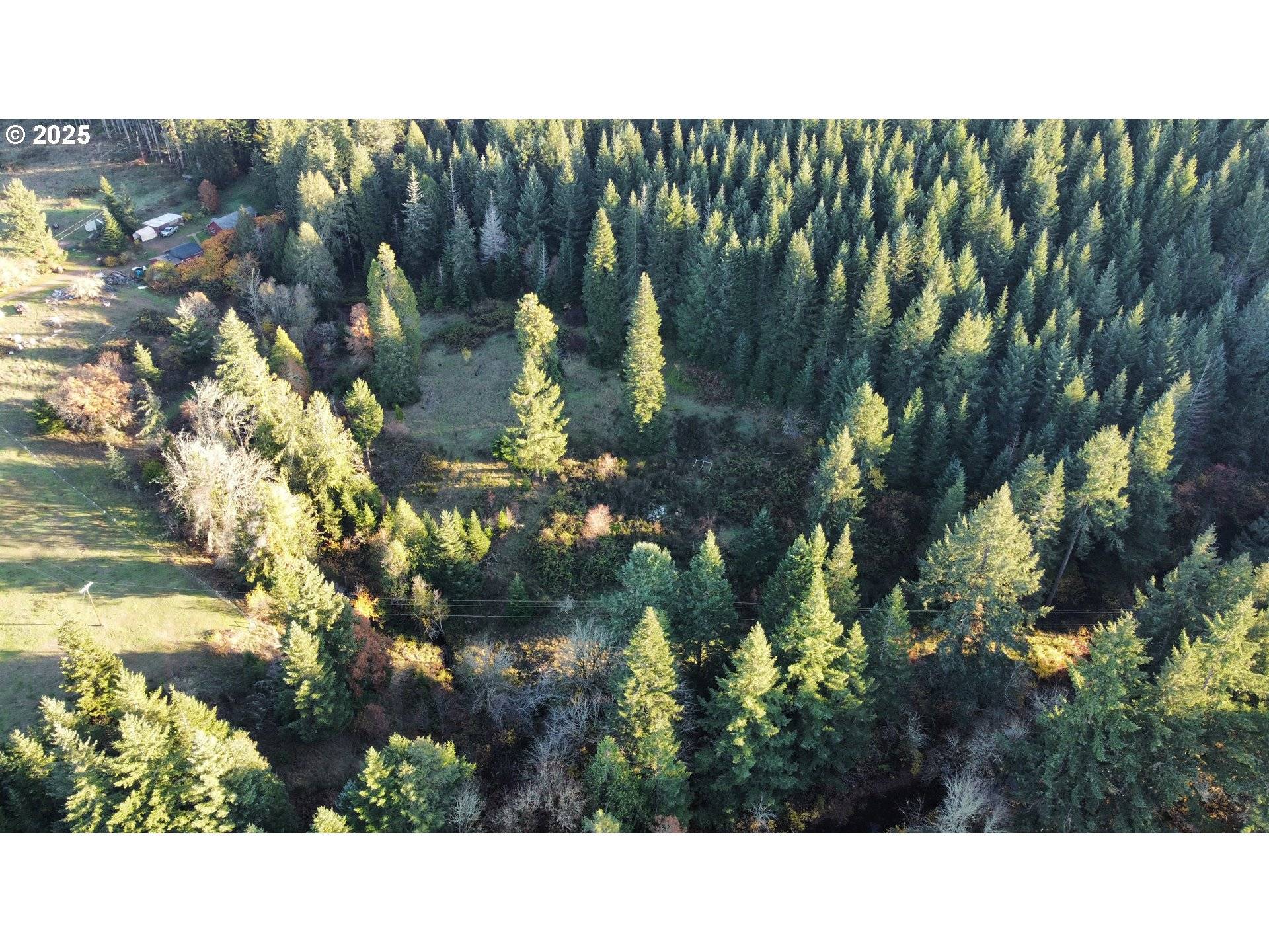 HARD CASH LN, Camas Valley, OR 97416