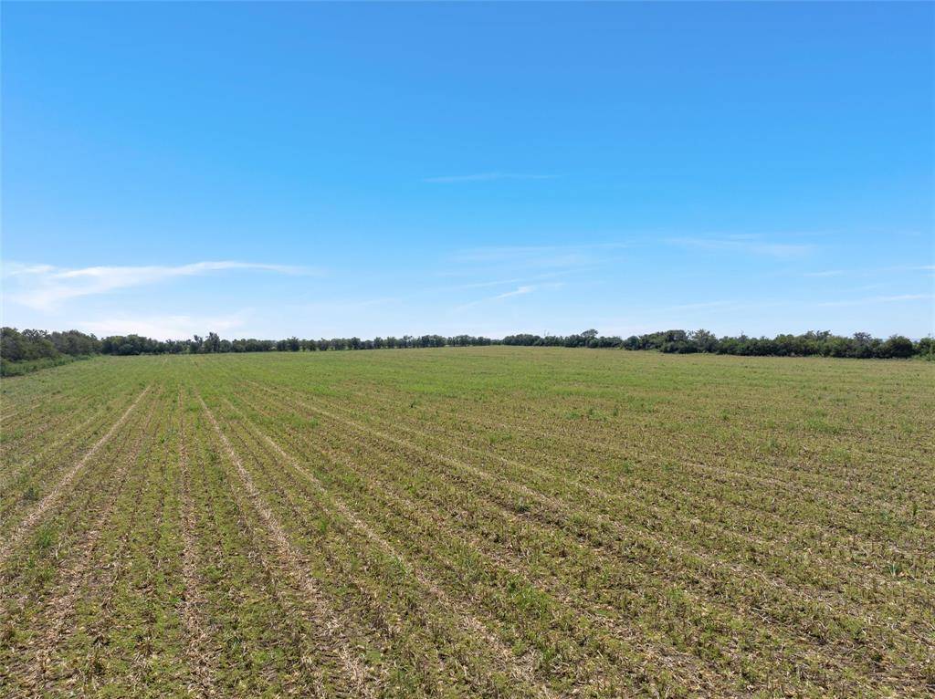 Crawford, TX 76638,902 Mattlage Road