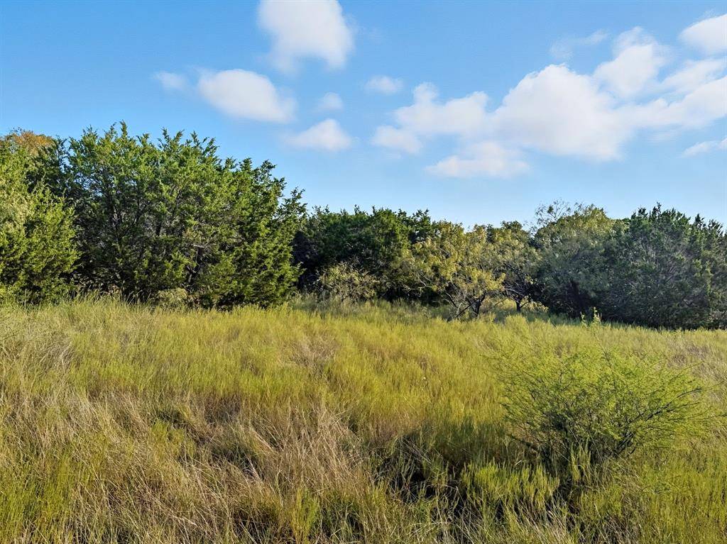 Evant, TX 76566,Lot 24 Ph 4 Pr 42126