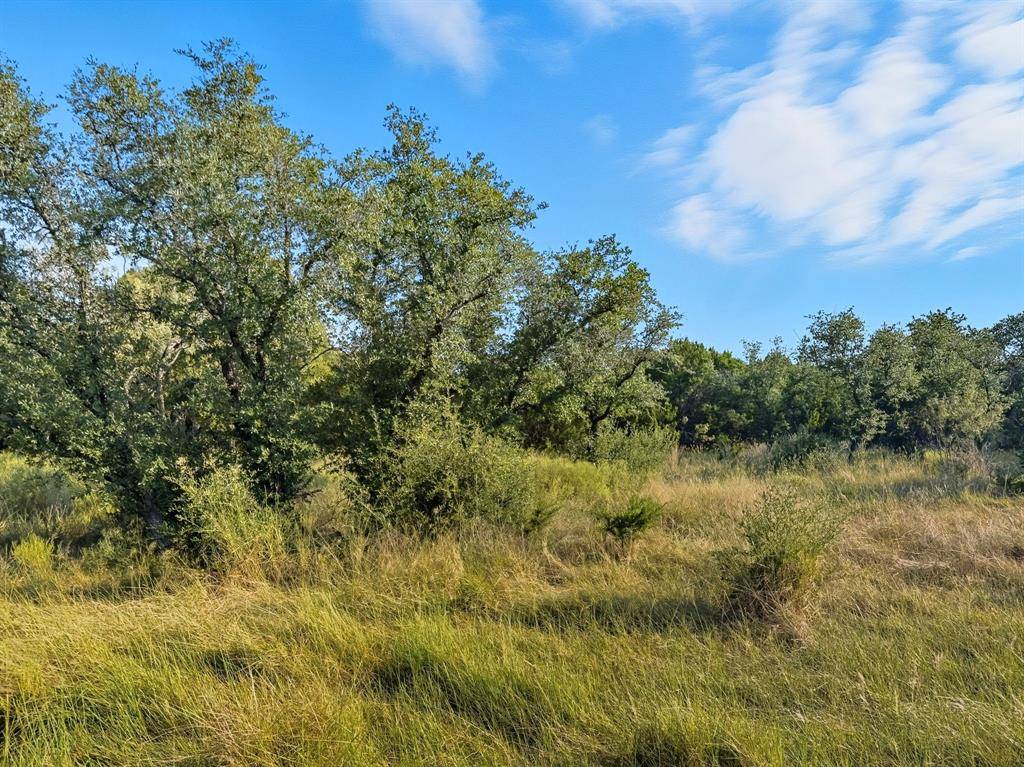 Evant, TX 76566,Lot 24 Ph 4 Pr 42126