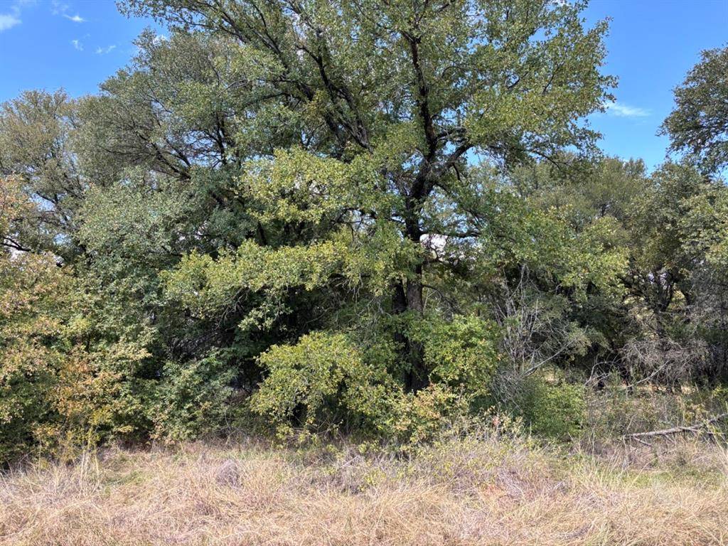 Granbury, TX 76048,5722 Black Pine Circle