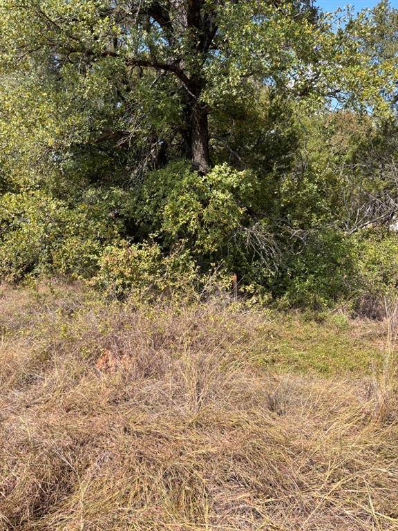 Granbury, TX 76048,5722 Black Pine Circle