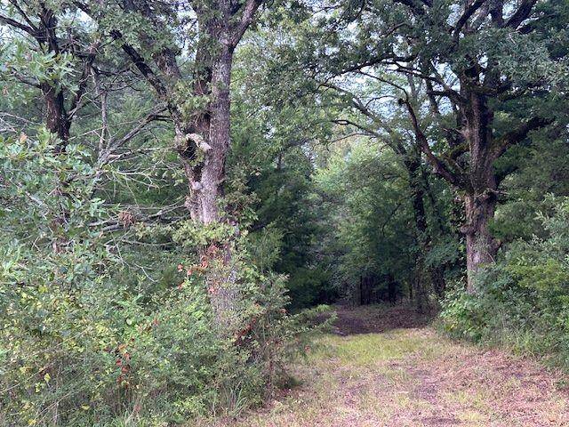 Mineola, TX 75773,TBD W HWY 80