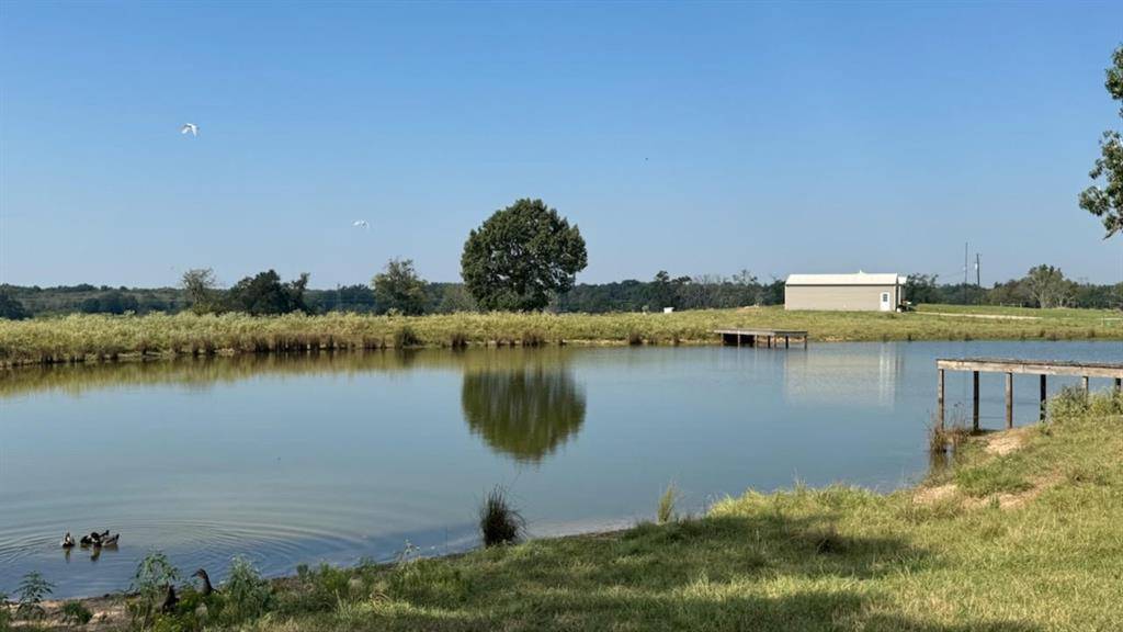 Talco, TX 75487,768 County Road 2220